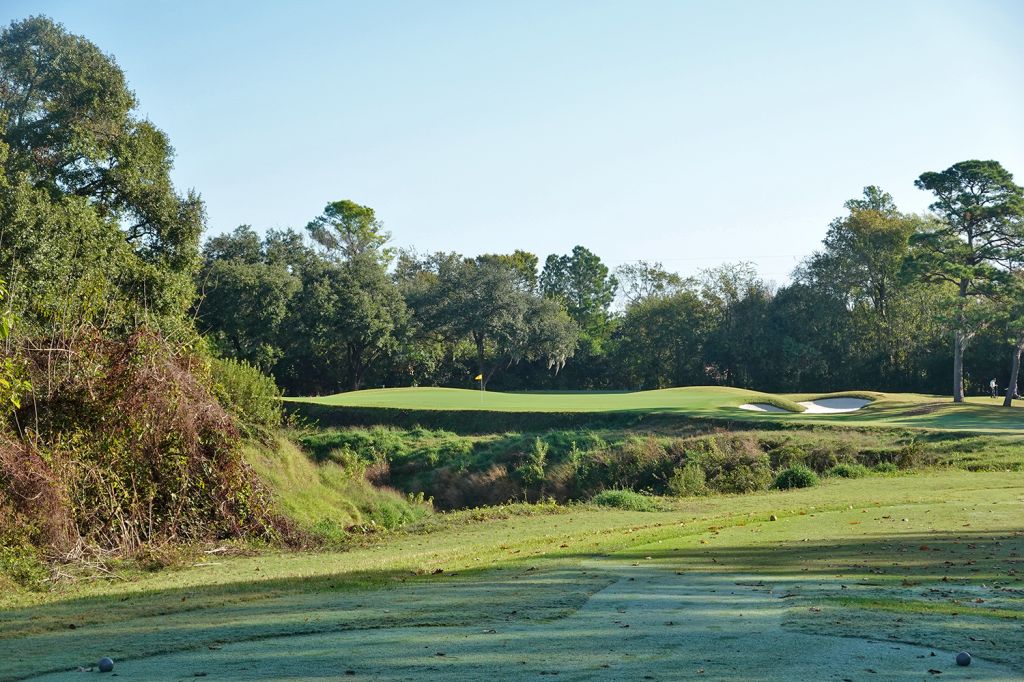 4th Hole at Champions Golf Club (Cypress Creek) (226 Yard Par 3)